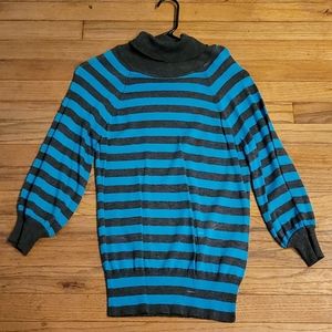 Express Turtle Neck Top